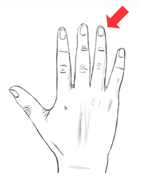 ESL Vocab - The ring finger 