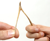 ESL Vocab - A wishbone