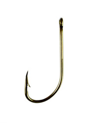 ESL Vocab - A fish hook