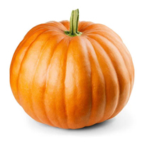 ESL Vocab - A pumpkin